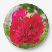 Große rote Rosen im Garten Pappteller (Vorderseite)