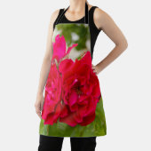 Große rote Rosen im Garten Schürze (InSitu)