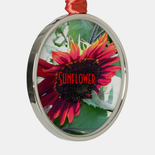 Große rote Sonnenblume Silbernes Ornament (Rechts)