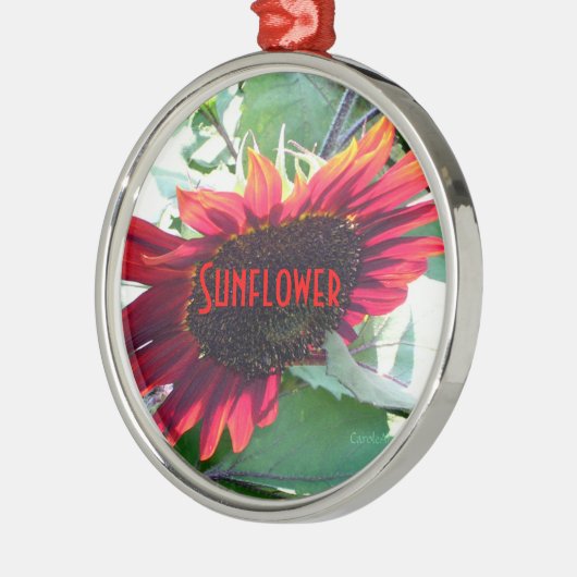 Große rote Sonnenblume Silbernes Ornament (Links)