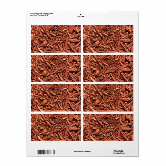 Große, rote Zedernmückenmückenlandschaft (Vorne)