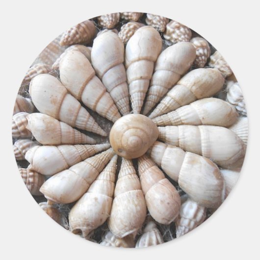 Große runde künstlerische Seashell-Aufkleber Runder Aufkleber (Vorderseite)