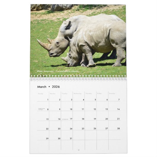 Große Säugetiere in Afrika 12 Monate Kalender (Mär 2026)