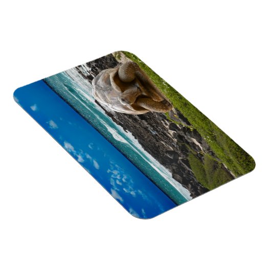 Große Schildkröte am Meer Magnet (Rechte Seite)