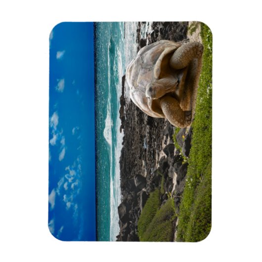 Große Schildkröte am Meer Magnet (Vertikal)