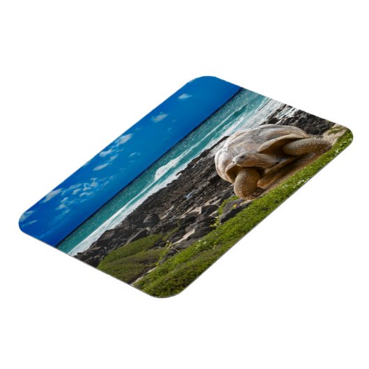 Große Schildkröte am Meer Magnet (Linke Seite)