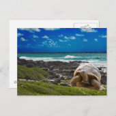 Große Schildkröte am Meer Postkarte (Vorne/Hinten)