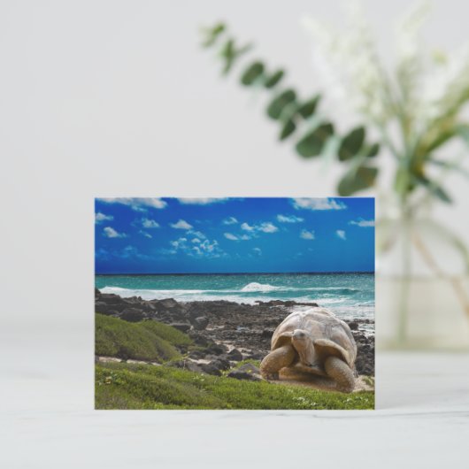 Große Schildkröte am Meer Postkarte (Stehend Vorderseite)