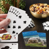 Große Schildkröte am Meer Spielkarten (In Situ)