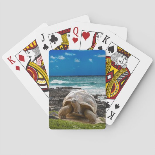 Große Schildkröte am Meer Spielkarten (Rückseite)