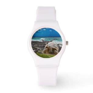 Große Schildkröte am Seerand Armbanduhr