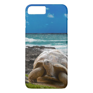 Große Schildkröte am Seerand Case-Mate iPhone Hülle