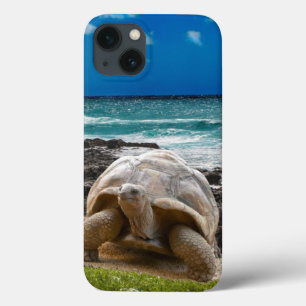 Große Schildkröte am Seerand Case-Mate iPhone Hülle