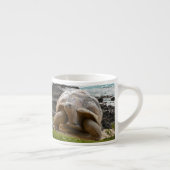 Große Schildkröte am Seerand Espressotasse (Rechts)