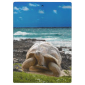 Große Schildkröte am Seerand Klemmbrett (Rückseite)