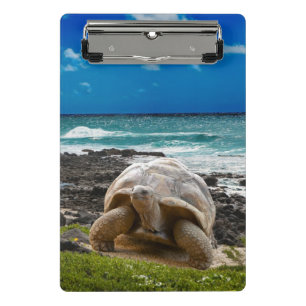 Große Schildkröte am Seerand Mini Klemmbrett