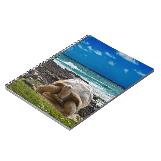 Große Schildkröte am Seerand Notizblock (Linke Seite)