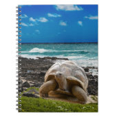 Große Schildkröte am Seerand Notizblock (Vorderseite)