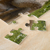 Große Schildkröte am Seerand Puzzle (Seite)