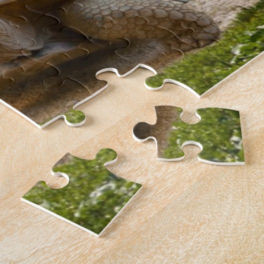 Große Schildkröte am Seerand Puzzle (Seite)