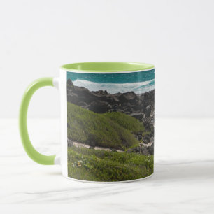 Große Schildkröte am Seerand Tasse