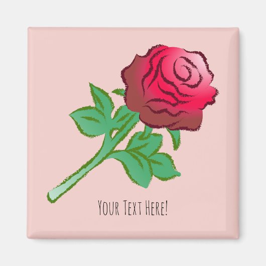 Große schöne rote Rose Magnet (Vorne)