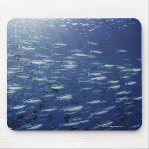Große Schule der Bluestreak-Fusiliers Mousepad