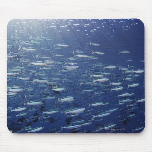 Große Schule der Bluestreak-Fusiliers Mousepad (Vorne)