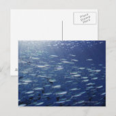 Große Schule der Bluestreak-Fusiliers Postkarte (Vorne/Hinten)