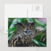 Große Schüssel Postkarte (Vorne/Hinten)