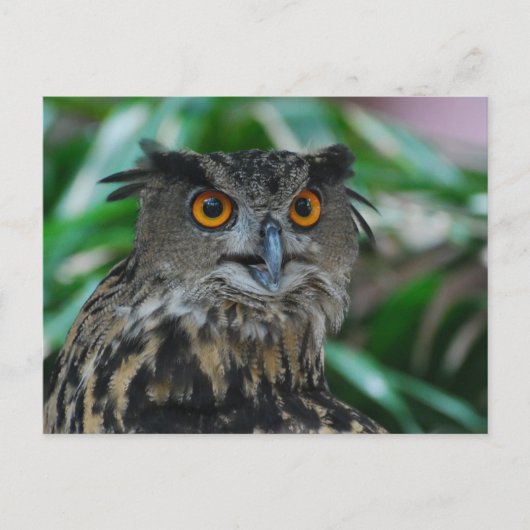 Große Schüssel Postkarte (Vorderseite)