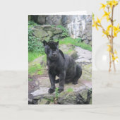 Große schwarze Jaguar-Katze auf dem Sitzen auf Karte (Gelbe Blume)