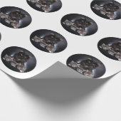 Große schwarze Katze und ihre 3 Kätzchen Pose für Geschenkpapier (Ecke)