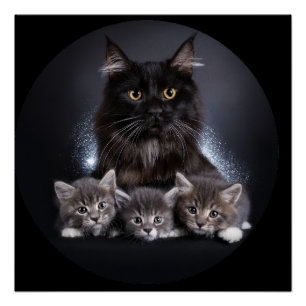 Große schwarze Katze und ihre 3 Kätzchen Pose für Poster
