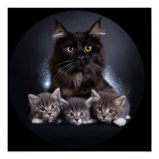 Große schwarze Katze und ihre 3 Kätzchen Pose für Poster (Vorderseite)