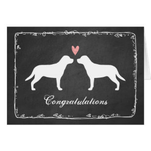 Große Schweizer Hunde Hochzeit Glückwunsch