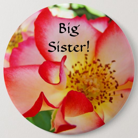 Große Schwester! Großer Knopf Rosa Weiße Rote Rose Button (Vorderseite)