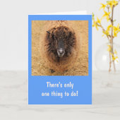 Große schwindelerregende schwere Schafe werden gut Karte (Gelbe Blume)