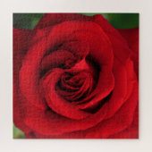 Große Single-Rote Rose Nah Puzzle (Horizontal)
