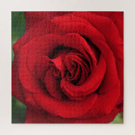 Große Single-Rote Rose Nah Puzzle (Vertikal)