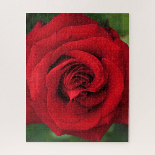 Große Single-Rote Rose Nah Puzzle (Vertikal)