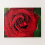 Große Single-Rote Rose Nah Puzzle (Horizontal)