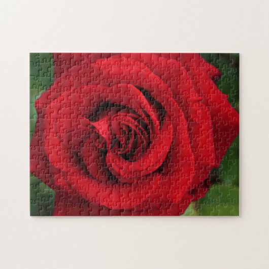 Große Single-Rote Rose Nah Puzzle (Horizontal)