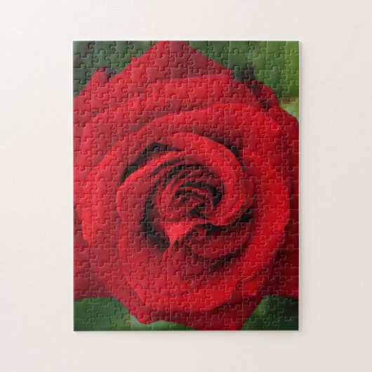 Große Single-Rote Rose Nah Puzzle (Vertikal)