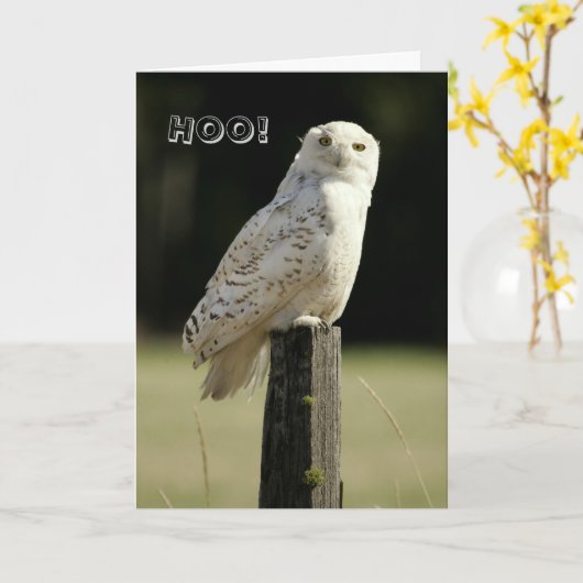 Große Snowy White-Eule, denkend an Sie Karte (Gelbe Blume)