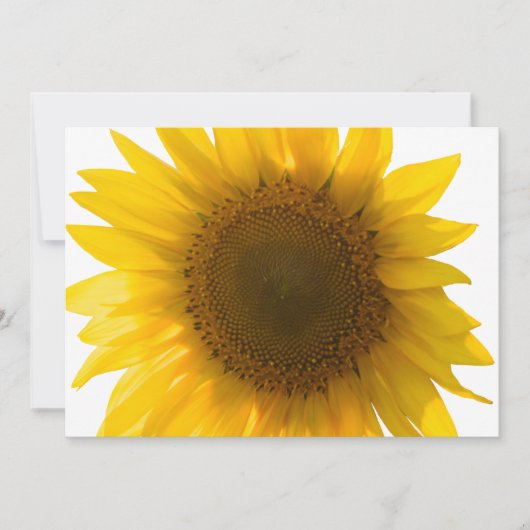 Große Sonnenblume (Vorderseite)