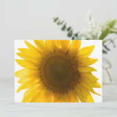Große Sonnenblume (Stehend Vorderseite)