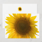 Große Sonnenblume (Vorne/Hinten)