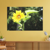 Große Sonnenblume Leinwanddruck (Insitu (Wohnzimmer))