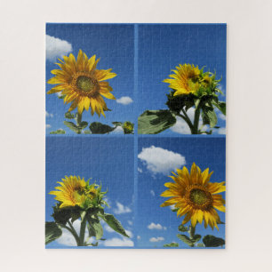 große Sonnenblume strahlt gelb blau Himmel weiß we Puzzle